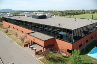 Executive Services Branch